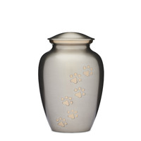 Silver with Gold Paws Urn 8"