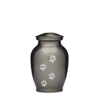 Silver Paws Alloy Urn - 6"